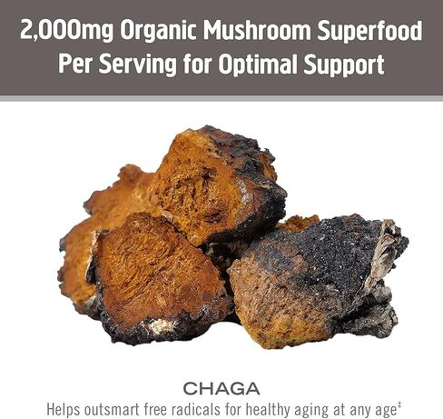 OM Mushroom Superfood Chaga Organic Mushroom Powder, 7.05 Ounce Pouch, 100 Servings, US Grown, Sacred Antioxidants & Immune Support, Superfood Mushroom Supplement in Kuwait