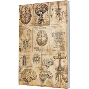 MA6GE8DE Canvas Hanging Picture Guide To Understanding The Human Brain,Campus Corridors,Classroom Wall Decor Poster & Prints,Guide To Understanding The Human Brain Teaching Paintings Decor 12x18 inch