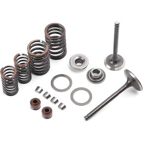 Minho GY6 Intake Valve and Exhaust Valve Assembly Kit in Alloy Steel Material,Compatible with Chinese GY6 4-Stroke 150cc 152QMI 157QMJ Engine Scooter Mopeds ATV Go Kart,66 Length