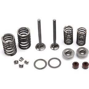Minho GY6 Intake Valve and Exhaust Valve Assembly Kit in Alloy Steel Material,Compatible with Chinese GY6 4-Stroke 50cc 139QMA 139QMB Engine Scooter Mopeds ATV Go Kart,64mm Length
