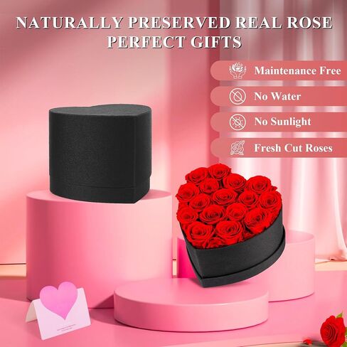 16 Piece Preserved Flowers Roses Heart Shape Box Forever Flowers with Necklace Real Roses That Last A Year Christmas Roses Gifts for Women Anniversary Rose Bouquet Gifts (Red) (Red) in Saudi Arabia