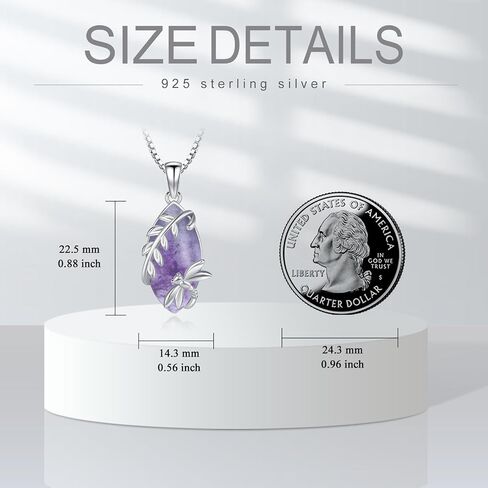 Dragonfly Pendant S925 Sterling Silver Dragonfly Necklaces Birthstone Pendant for Women Necklaces Jewelry Present for Wife Mother in Saudi Arabia