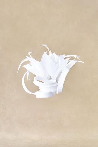 BABEYOND Fascinator Hats for Women - Tea Party Hats Kentucky Fascinators Derby Hat Wedding Cocktail Ribbon Hair Clip Headwear in Saudi Arabia