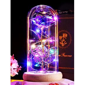 Christmas Rose Gifts for Women Sister Galaxy Rose in Glass Dome Light Up Eternal Rainbow Flower Birthday Gifts for Mom Xmas Rose Gifts for Grandma Daughter Wife Friends