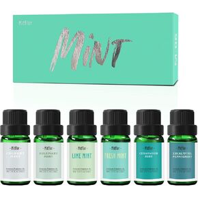 Fragrance Oils Set of Mint, MitFlor Premium Scented Oils for Diffuser, Soap & Candle Making Scents, Refreshing Home Fragrance, Aromatherapy Oil Gift Set, Cedarwood Mint, Coconut Mint and More, 6x10ml