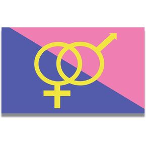 Magnet Me Up Straight Pride Flag Magnet Decal, 4x6 Inches, Pink Blue and Yellow, Heavy Duty Automotive Magnet for Car Truck SUV