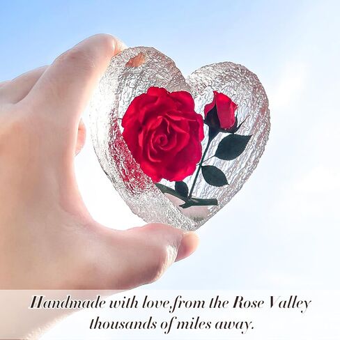 Preserved Red Real Rose Valentines Day Gifts for Her Present,Romantic Valentines Day Gifts for Wife Gifts from Husband,to My Love Valentines Day Gifts for Her Unique （Ring&White） in Saudi Arabia
