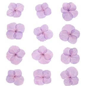 PATIKIL Dried Pressed Flower, 48 Pcs for Resin DIY Crafts Nail Art Cards Scrapbooking Jewelry Making Floral Decor Candle Decors, Light Purple
