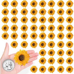 60PCS Natural Yellow Dried Sunflowers for Resin, Real Pressed Dry Sunflowers for Crafts DIY Epoxy Resin Mold Jewelry Candle Scrapbooking Card Making Home Wedding Decoration
