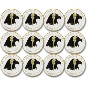 SHOP AWARDS AND GIFTS Achievement Academic Lapel Pins for Students Employees