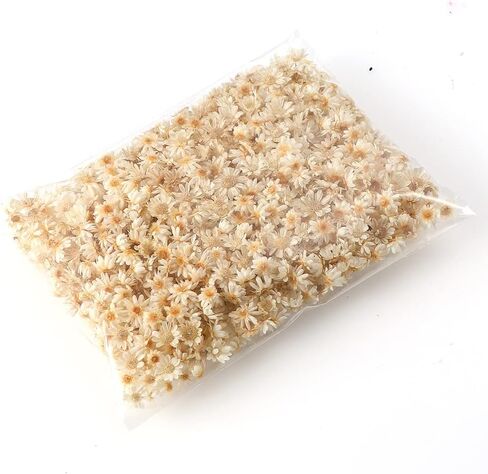 Wowagoga Mini Natural Dried Flowers Beige Dried Little Star Flowers Heads Real Dried Pressed Flowers for Jewelry Candle Card Making DIY Resin Ornaments（200 Pieces） in Saudi Arabia