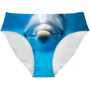 Allhaitong Briefs Panties for Women Gag Gift Lightweight Seamless Underwear Low Rise Cheeky Hipster