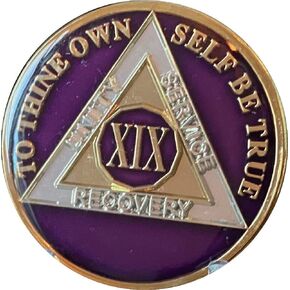 Ranger Industries 19 Year AA Medallion Metallic Purple Tri-Plate Sobriety Chip XIX