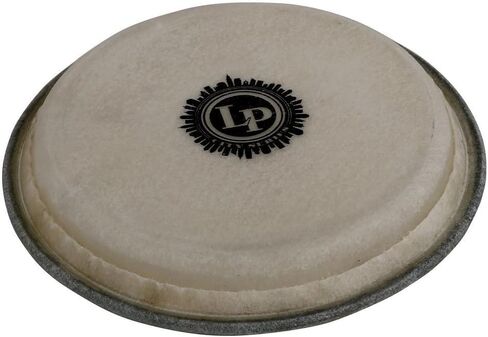 Latin Percussion LP663A Small City Series Bongo Head in Saudi Arabia