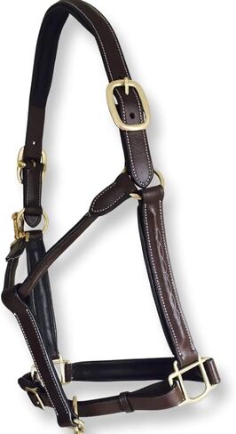 TECH EQUESTRIAN English Halter with Padding | Halter with Fancy Stitched | StressLess Buttersoft English Leather Halter | Brown-Havana in Kuwait