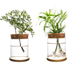 Plants Propagation Stations,Separated Desktop Glass Flower Vase Set of 2,with Wooden Saucer,for Living Room and Bedroom, Decorative Vases for Wedding, Valentines' Day, Mother's Day (2)