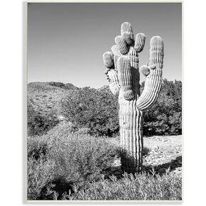 Stupell Industries Thick Desert Cactus Black White Canyon Landscape, Designed by Bill Carson Photography Wall Plaque, 13 x 19