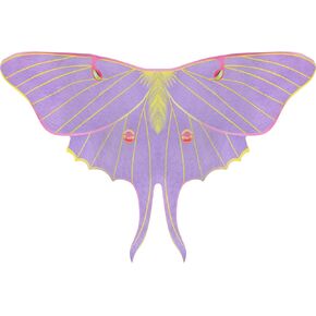 Fairy Wings for women, Double Sided Butterfly Cape, Luna Moth Wings, Adult Moth Costume Halloween Party Favors