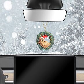 Rear View Mirror Christmas Decorations Compatible with Tesla Model Y 3 X S Cybertruck Semi Interior Decal Tree Ornaments Car Decoration Vehicle Hanging Ornaments Deer Accessories (Hedgehog)