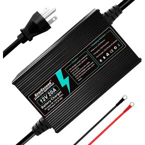 EverExceed 12V 20A Lithium Battery Charger 14.6V Lifepo4 Battery Charger AC-DC Battery Charger, 100Ah Lifepo4 Battery Charger for Lifepo4 Lithium Deep Cycle Battery of Car RV Marine