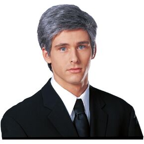 Costume Culture Men's Commander In Chief Wig