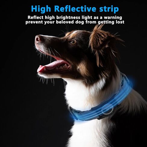 Airtag Dog Collar, Upgraded Reflective Airtag Dog Collar Holder, Heavy Duty Pet Collar with Airtag Holder, Adjustable Nylon Puppy Collars for Small Medium Large Dogs(S(12.6’’-14.5’’), Blue) in Saudi Arabia