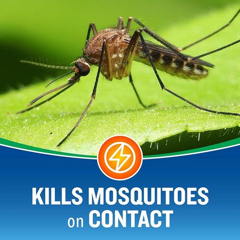 مبيد خارجي للتحكم في الحشرات في الفناء الخلفي (عبوتان)، يقتل البعوض والبراغيث والنمل المدرج، 16 أونصة سائلة in Kuwait