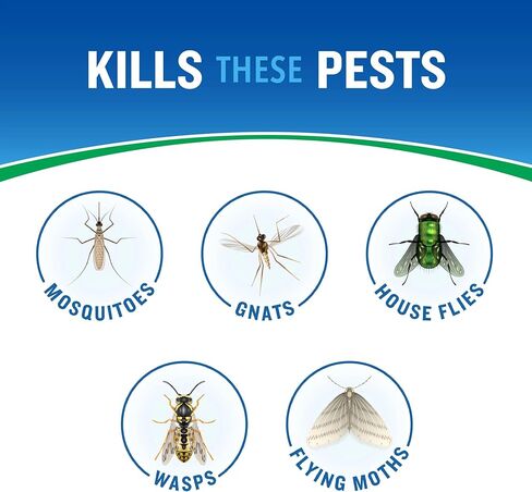 مبيد خارجي للتحكم في الحشرات في الفناء الخلفي (عبوتان)، يقتل البعوض والبراغيث والنمل المدرج، 16 أونصة سائلة in Kuwait