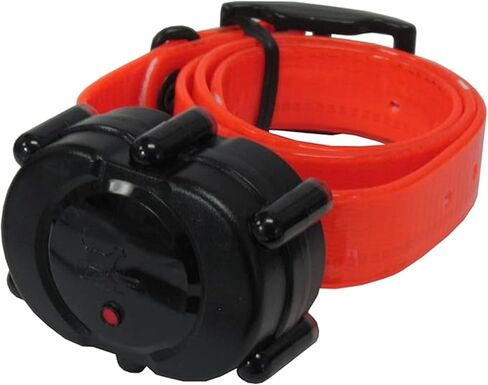 D.T. Systems DT Systems Add-On or Replacement Training Collar Receiver, Blaze Orange, IDT ADDON-O in Kuwait