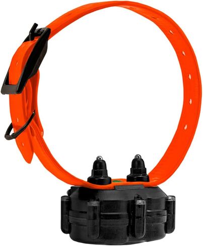 D.T. Systems DT Systems Add-On or Replacement Training Collar Receiver, Blaze Orange, IDT ADDON-O in Kuwait