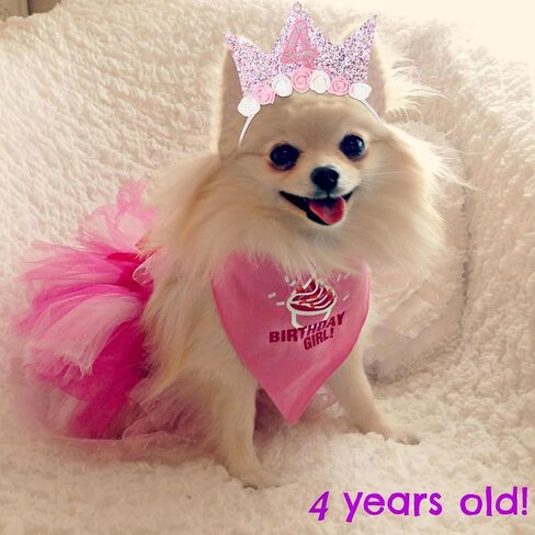 YARIEW 4th Birthday Decorations for Girls, 4th Birthday Headband and Glitter Birthday Sash Kit, Birthday Tiara Flower Princess Crown Headband It's My Birthday Sash Birthday Girl Outfit in Saudi Arabia