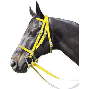 Intrepid International Nylon Race Horse Bridle