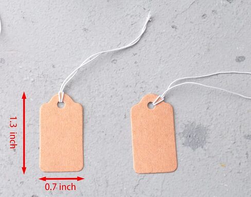 Sowaka 100 Pcs Display Tags with Hanging String Mini Writable Blank Label Display Tags for Jewelry Store Price Marking Ornament Pricing Product Clothing Hanging Tags (Small, Kraft) in Saudi Arabia