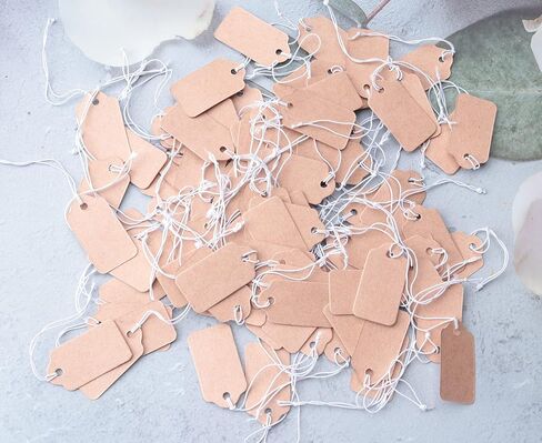 Sowaka 100 Pcs Display Tags with Hanging String Mini Writable Blank Label Display Tags for Jewelry Store Price Marking Ornament Pricing Product Clothing Hanging Tags (Small, Kraft) in Saudi Arabia