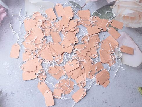 Sowaka 100 Pcs Display Tags with Hanging String Mini Writable Blank Label Display Tags for Jewelry Store Price Marking Ornament Pricing Product Clothing Hanging Tags (Small, Kraft) in Saudi Arabia
