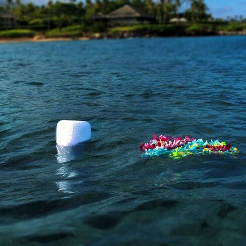 Eco Water Urn: Biodegradable Urn for Water Burial, Burial at Sea in Saudi Arabia