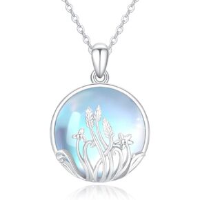 CRWENG Ocean World Turtle Necklace Sterling Silver Heart Moonstone Pendant Necklaces for Women Daughter Girls Moonstone Jewelry Birthday Xmas Gifts