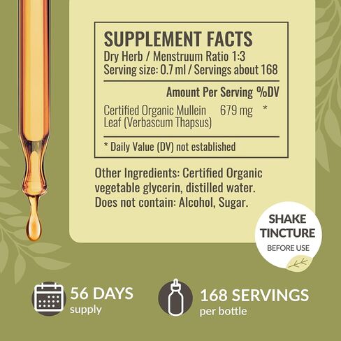 HERBAMAMA Mullein Drops for Lungs - Mullein Leaf Extract for Lung Detox - Vegan Respiratory Lung Health Support Supplement - Alcohol & Sugar-Free, 56-Day Supply in Kuwait