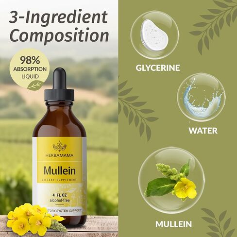 HERBAMAMA Mullein Drops for Lungs - Mullein Leaf Extract for Lung Detox - Vegan Respiratory Lung Health Support Supplement - Alcohol & Sugar-Free, 56-Day Supply in Kuwait