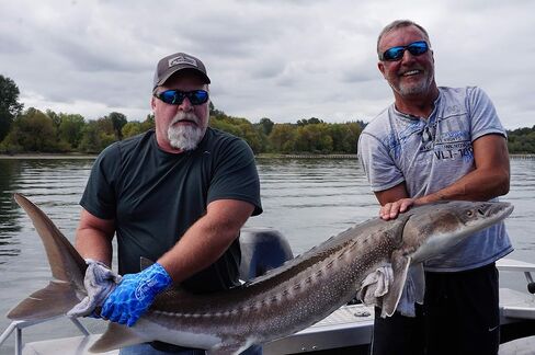 Fishoholic Snapback Baseball Fishing Hat - Embroidered Logos Mesh Trucker Fishing Gift for Dad Father Son (R) TM Fishaholic (SNP-BLKonBLK) in Kuwait