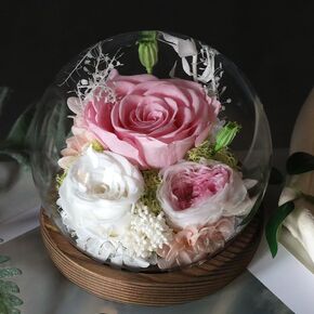 Rose in Glass Dome, Long-Lasting Real Flowers, with LED Light, Unique for Mother's Day & Christmas, Preserved Flowers Rose Gifts for Wife Girlfriend Mom (Pink)