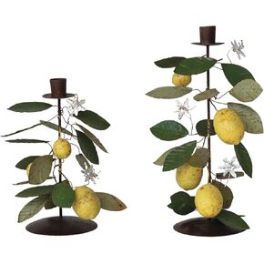 Creative Co-Op Citrus Grove Metal Taper Candle Holders, Multicolor, Set of 2