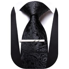 Barry.Wang Paisley Tie for Men Silk Woven Necktie and Tie Clip Set Wedding Party Business Formal