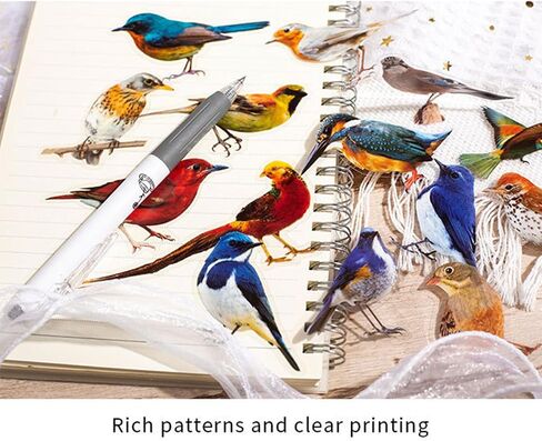 Bird Stickers for Scrapbooking(46pcs), Small Scrapbook Stickers Set, Journaling Bullet Junk Jounal Supplies, Planners, Kid DIY Art Crafts, Laptop, Suitcase in Saudi Arabia