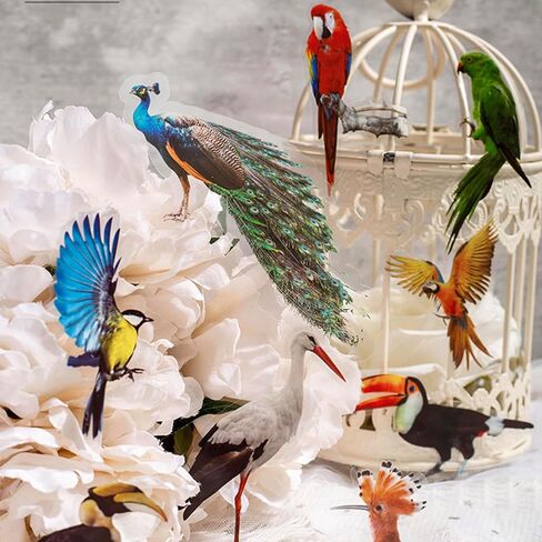 Bird Stickers for Scrapbooking(46pcs), Small Scrapbook Stickers Set, Journaling Bullet Junk Jounal Supplies, Planners, Kid DIY Art Crafts, Laptop, Suitcase in Saudi Arabia