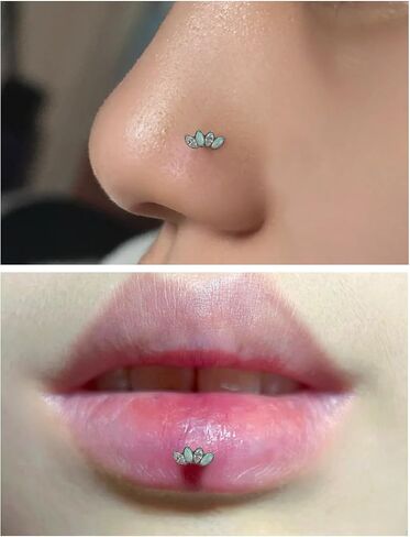 16G G23 Titanium Tragus Conch Helix Piercing Jewelry Internally Threaded Flat Back Cartilage Earrings Forward Helix Earrings Medusa Labret Piercing Jewelry for Women Men Silver 6MM 8MM 10MM in Kuwait