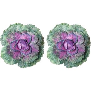 Hoppwodd 2 PCS Faux Cabbage, Realistic Artificial Vegetables, Fake Food Plants Props Decorative Cabbage for Home and Kitchen Decor