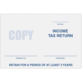 LUXPaper 6 x 9 Booklet Envelopes | Income Tax Return | Bright White | 24lb. Text | 50 Qty
