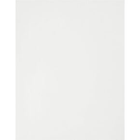 Appvion NCR Paper CFB Superior Carbonless Sheets (NCR5824)