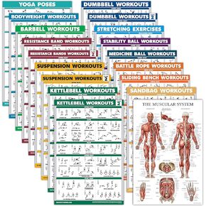Palace Learning 18 Pack - Exercise Poster Set: Dumbbell, Suspension, Kettlebell, Resistance Bands, Stretching, Bodyweight, Barbell, Battle Rope, Yoga, Exercise Ball, Muscular and More